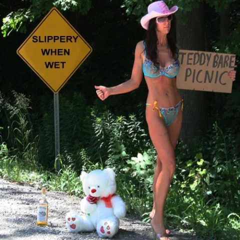 teddy bare picnic camping event
